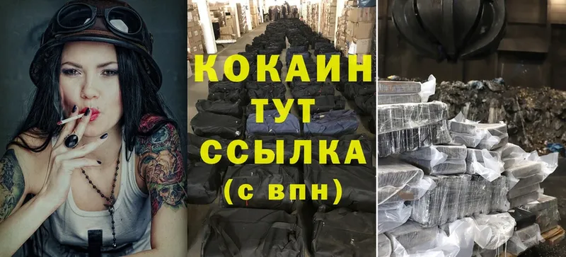 купить наркотик  Белозерск  KRAKEN зеркало  Cocaine 99% 